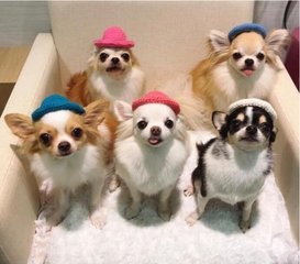 okpay钱包旧版安卓