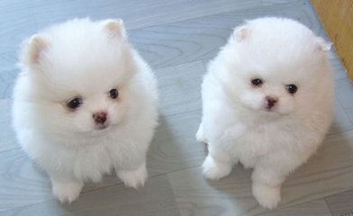 欧易app钱包下载钱包
