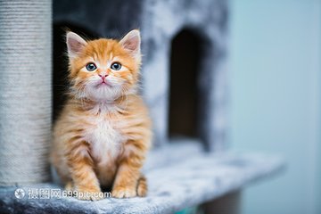 imtoken最新版