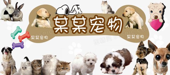 okpay钱包怎么投诉
