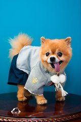 币安手机钱包安卓版下载