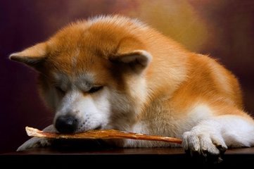 库神钱包app官网下载