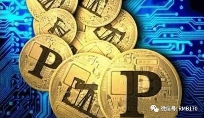BTC钱包