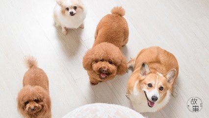 okpay钱包地址怎么查询