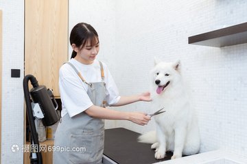 Okpay支付钱包官网
