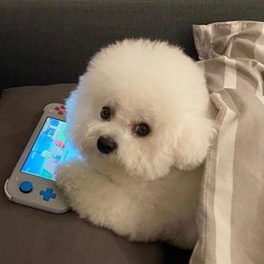 Mist钱包下载钱包