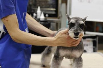 币安交易所官网APP下载