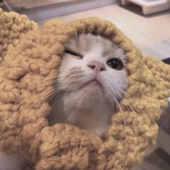 okpay钱包苹果手机