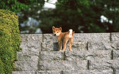 okpay钱包苹果下载教程