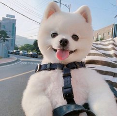 okpay钱包实名认证要成年吗
